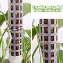 [Preço Por Atacado] Plantas De Apoio À Trepadeira/Planta Em Vaso Trep