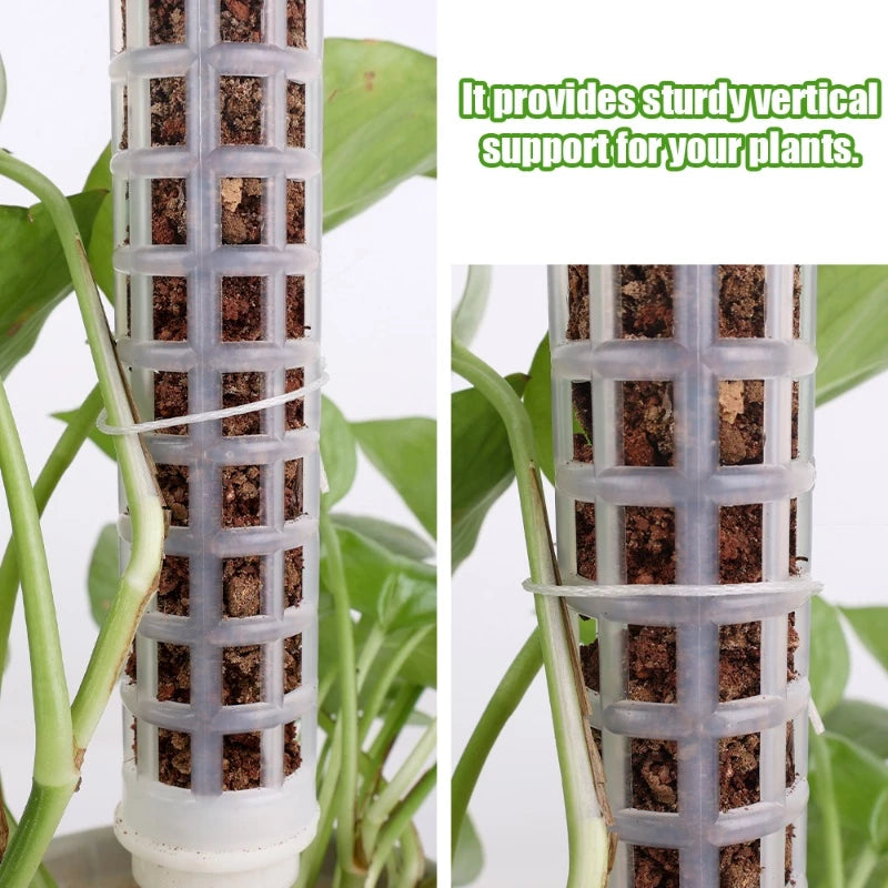 [Preço Por Atacado] Plantas De Apoio À Trepadeira/Planta Em Vaso Trep