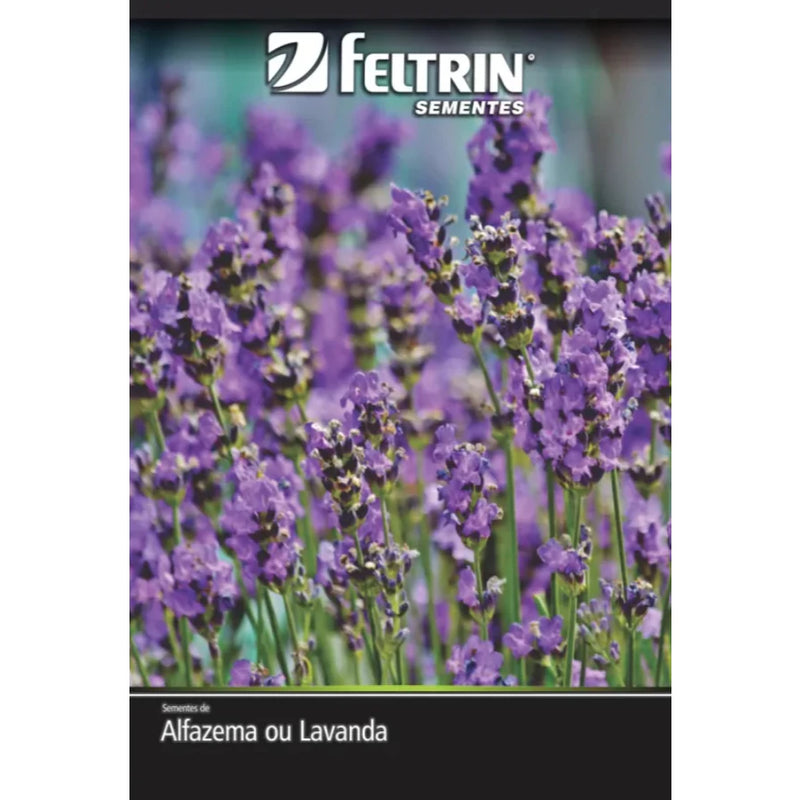 Kit de Sementes - Arruda + Lavanda + Alecrim
