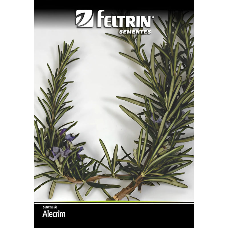 Kit de Sementes - Arruda + Lavanda + Alecrim