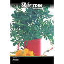 Kit de Sementes - Arruda + Lavanda + Alecrim