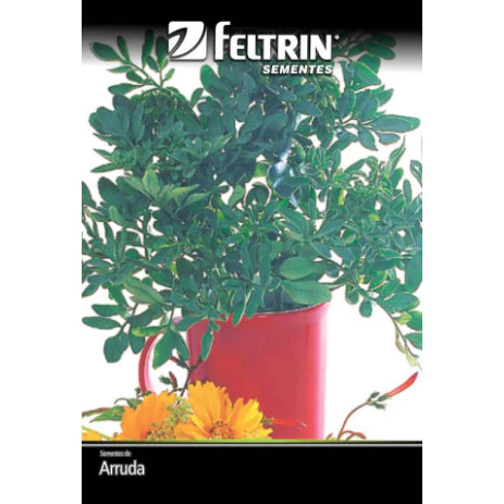 Kit de Sementes - Arruda + Lavanda + Alecrim