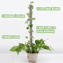 [Preço Por Atacado] Plantas De Apoio À Trepadeira/Planta Em Vaso Trep