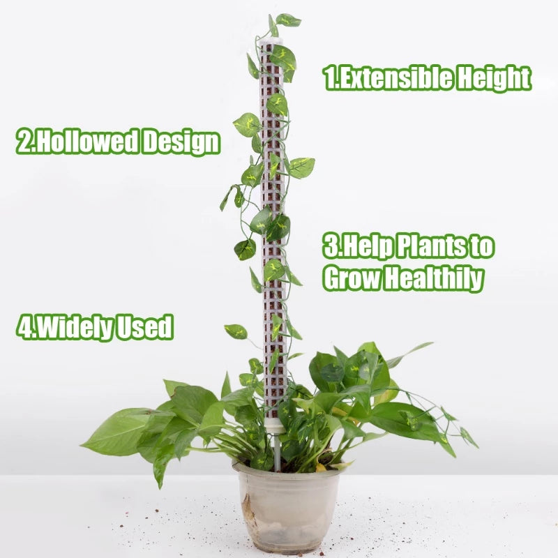 [Preço Por Atacado] Plantas De Apoio À Trepadeira/Planta Em Vaso Trep