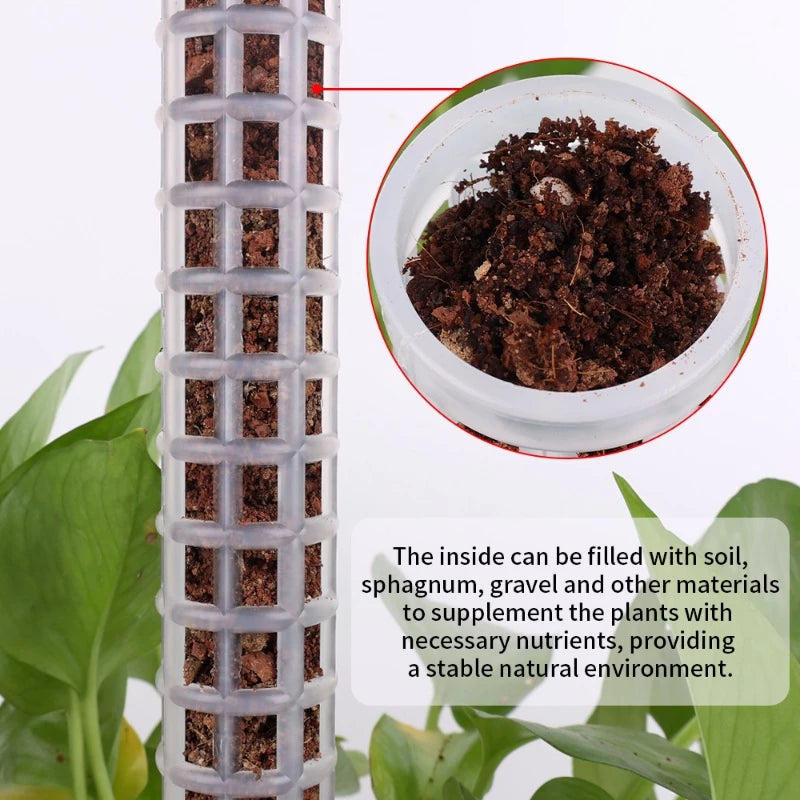 [Preço Por Atacado] Plantas De Apoio À Trepadeira/Planta Em Vaso Trep