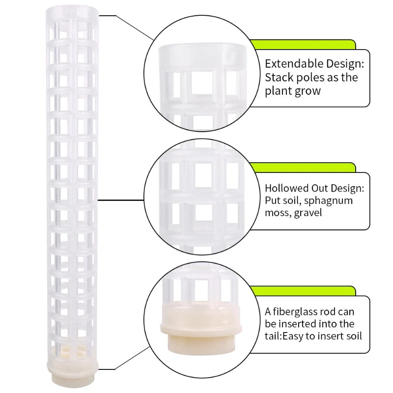 [Preço Por Atacado] Plantas De Apoio À Trepadeira/Planta Em Vaso Trep