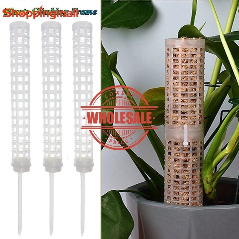 [Preço Por Atacado] Plantas De Apoio À Trepadeira/Planta Em Vaso Trep