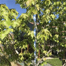 10pcs 30cmBird Ferramenta Repelente De Pássaros De Jardim À Prova De Vento , Dispositivo flash , Haste Espiral